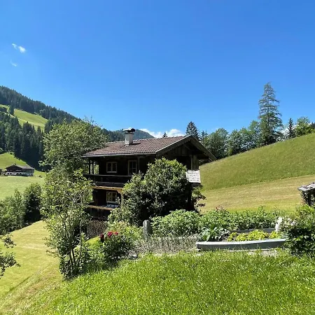 Chalet Troadkasten By Interhome Wildschoenau