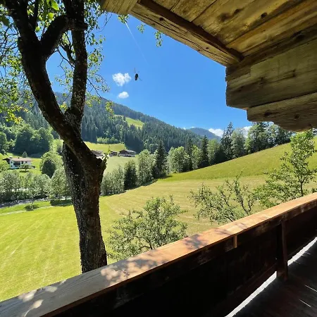 Chalet Troadkasten By Interhome Wildschoenau
